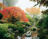 Japanese Garden I Kunstdrucke von Maureen Love