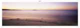 Lever du soleil Posters par Philip Plisson
