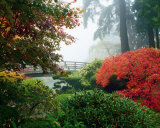 Japanese Garden II Prints by Maureen Love