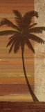 Tropical Sunset II Prints by John Zaccheo