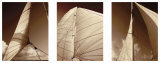 Windward Sails Triptych Poster by Alan Hausenflock