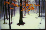 Quiet Woods Stretched Canvas Print by David Winston