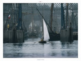 Douarnenez, Port-Rhu Posters par Philip Plisson