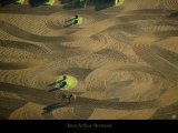 Rond d'Entrainement sur l'Hyppodrome de Maisons-Laffitte Poster von Yann Arthus-Bertrand