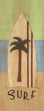 Surf Posters by Sue Allemand
