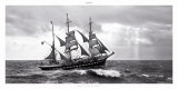 Sous le Vent de Belem Poster by Philip Plisson