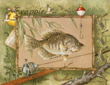 Crappie Prints by Anita Phillips