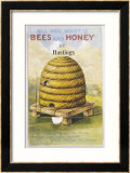 Beehive and One Bee Estampe encadrée