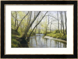 Solitudine Stampa giclee con cornice di Christian Zacho Solitudine Stampa giclee con cornice di Christian Zacho