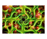 Convolution Photographic Print by vilhei v