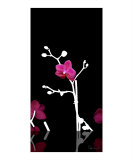 Orchid Silhouette Photographic Print by Corrine Ellsworth
