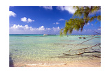 Crystal Clear Caribbean Waters Cayman Islands Photographic Print by George Oze