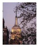 Empire State Building Through the Trees Photographic Print by Dw Labs 