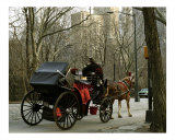 Carriage in the Park Photographic Print by Dw Labs 