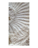 Fossil Five Fotografie-Druck von A Villaronga