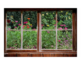 Summer Garden Thru a Rustic Window Photographic Print by Anna Maria Miller