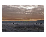 Frosty Sunrise Photographie par Jennifer Norland