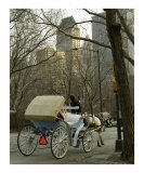 A Ride Through the Park Photographie par Dw Labs 