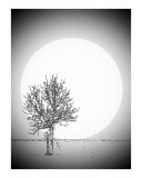 Moon Glow 1 Lámina fotográfica por Gene Cyr Moon Glow 1 Lámina fotográfica por Gene Cyr
