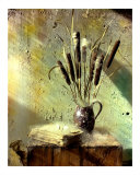 Joncs Photographie par Art Gore
