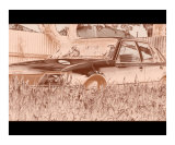 Resting Photographic Print by Alan Watson