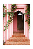 Garden Door Photographic Print by George Oze