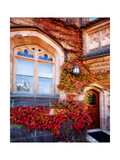 Autumn Ivy Princeton University New Jersey Photographic Print by George Oze