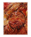 Christmas Glitter Giclée-Druck von Nadine Rippelmeyer