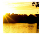 Local Park Sunset Autumn Afternoon Photographic Print by Karloss Scaplehorn
