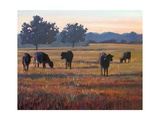 Foggy Morning Light Giclee Print by Patty Baker
