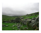 Nought but the Wild Heather Photographic Print by Sharon Maille-rettich