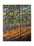 Late Day Light in Hudson Valley Woods Giclee Print by Patty Baker