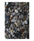 Wet Stones Photographic Print by Elena Ray