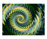 Nautilus 5 Lámina fotográfica por Vicky Brago-Mitchell Nautilus 5 Lámina fotográfica por Vicky Brago-Mitchell