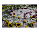Imagine Photographie par Vincent James