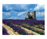 Mill Ruins at Domaine du Chateau du Bois Photographic Print by Yvonne Mestre Mill Ruins at Domaine du Chateau du Bois Photographic Print by Yvonne Mestre