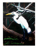 120807 Egret Honey Island Swamp Louisiana Giclee Print by Garland Oldham