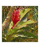 Encanto reproduction procédé giclée par Darrell Hill