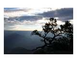 Morning Silhouette Photographic Print by Beth Epley