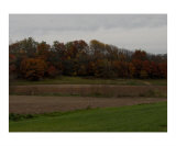 Minnesota in the Fall Photographic Print by Darlene Navor