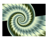 Nautilus 3 Lámina fotográfica por Vicky Brago-Mitchell