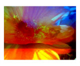 High Drama Sunset Lámina fotográfica por Randi Bailey High Drama Sunset Lámina fotográfica por Randi Bailey