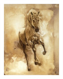 Baroque Horse Series III: III reproduction procédé giclée par Heather Theurer