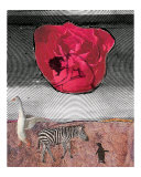 Homage to Dali - Budding Woman Giclee Print by Becki Sanders