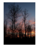 Dark Sunset Lámina fotográfica por Gene Cyr Dark Sunset Lámina fotográfica por Gene Cyr