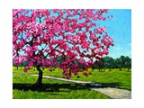 Pink Blossoms on a Summer Day Giclee Print by Patty Baker