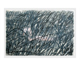 Wild Swans at Coole reproduction procédé giclée par Wyllie O Hagan