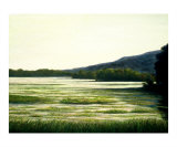Morning by Lakeside reproduction procédé giclée par Tenzin Tamding