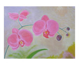 Red Orchids Giclee Print by Thi Nguyen