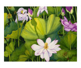 Luscious Lotus Reproduction procédé giclée par Jolly Kornicks